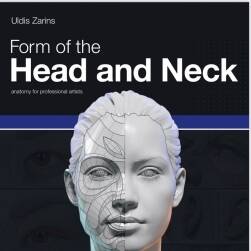 Form of Head and Neck 頭頸部形狀 建模人體結(jié)構(gòu)美術(shù)參考 百度網(wǎng)盤