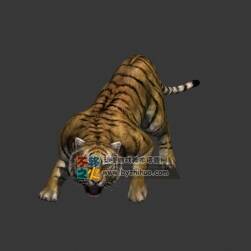 Tiger 带pose老虎 Max模型