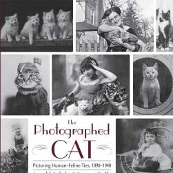The Photographed Cat 为猫拍照 猫咪照片艺术写真集下载