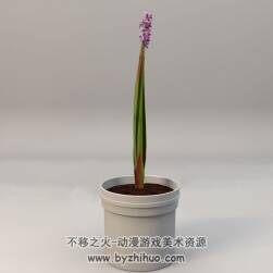 C4D景观花卉紫色花卉3D模型下载