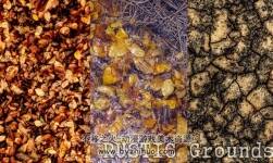 RUSTIC Grass 1.2 花草紋理材質(zhì)貼圖
