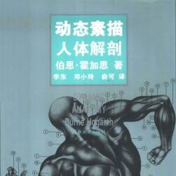 伯恩·霍加思 動(dòng)態(tài)素描人體解刨教材 195P