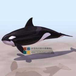 Whale 鲸鱼 3DS模型