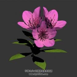 單株粉花  3D模型下載  max格式