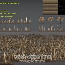 Grass Pack 3 fbx obj格式荒废的黄草3D模型下载