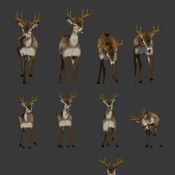 一群可愛的梅花鹿3DMax模型帶綁定原地待機(jī)下載